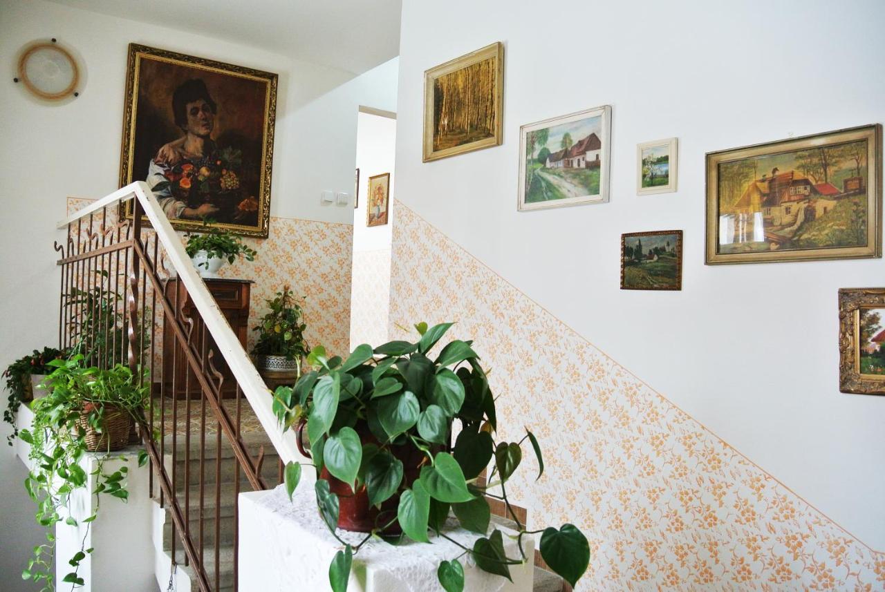 Restaurace A Penzion Ubrousku Prostri Se Nová Bystřice エクステリア 写真